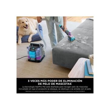 Shark StainStriker HairPro Pet Başlıklı Koltuk Yıkama ve Leke Çıkarma Makinesi PX250EUT
